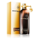 MONTALE AOUD FOREST EDP 100ML                     