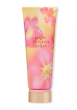 VICTORIA LOTION BRIGHT MARIPOSA APRICOT 236ML NEW 