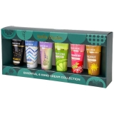 C STELLA DUSTIN HAND CREAM KIT 6X1 30ML           